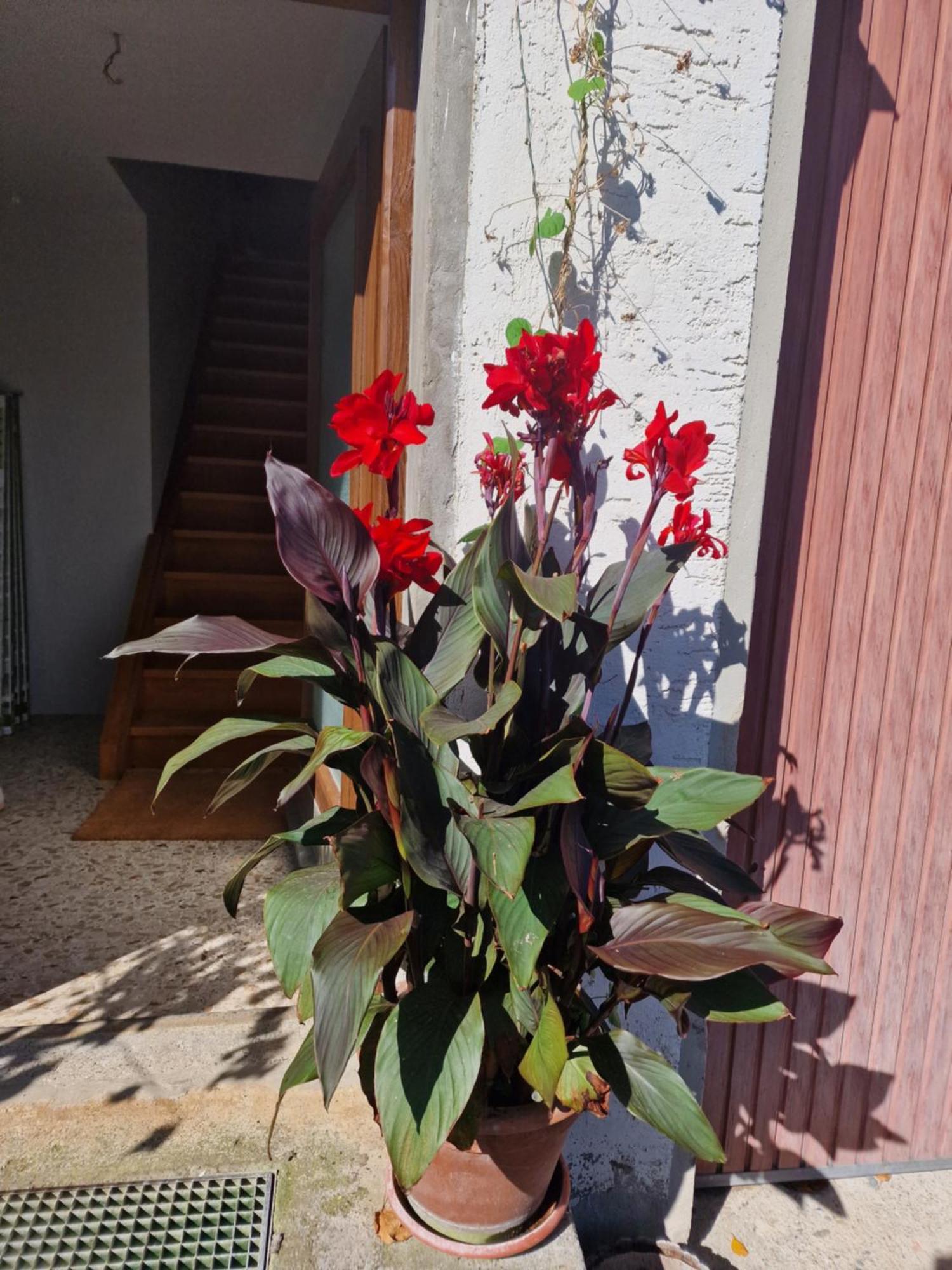 Ferienwohnung Der Perfekte Ausgangspunkt Weiler-Simmerberg Exterior foto