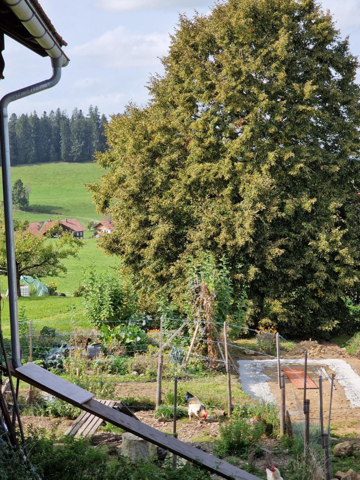 Ferienwohnung Der Perfekte Ausgangspunkt Weiler-Simmerberg Exterior foto